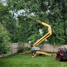 Best Leaf Removal  in Stuart, FL